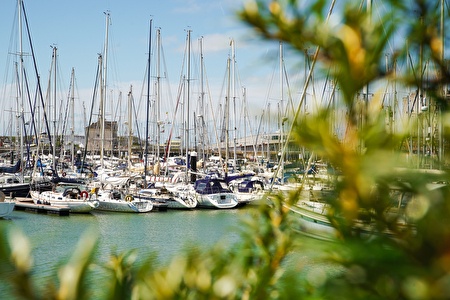 barques sur l'eau bleue avec un peu de nature au premier plan